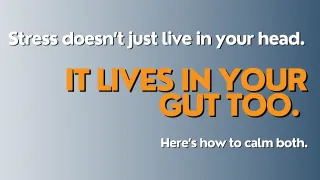 How Stress Affects Your Gut Health (And What You Can Do About It)