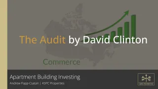 The Audit by David Clinton