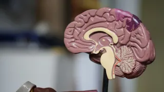 The Smartest Doctor In The World