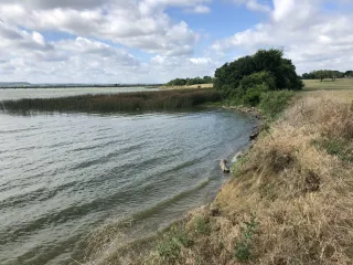 🌳 Adventure Awaits by the Water: Explore Mountain Creek Lake Park in Grand Prairie, TX | Luv My Trip Car Rental