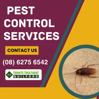 Choosing a Pest Control Company in Guilford
