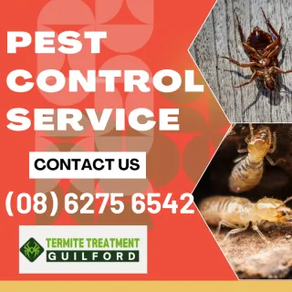 The 4 Most Common Pests to Watch Out For