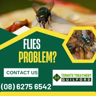 Effective Tips to Keep Flies at Bay