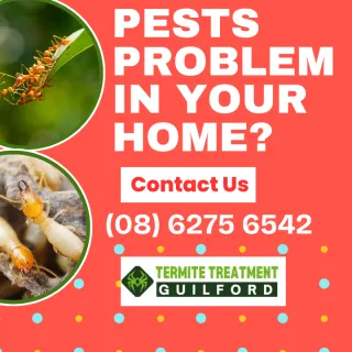 What pests can be found lurking in your warehouse?