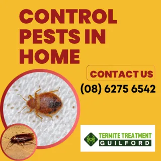 Why bugs like your house