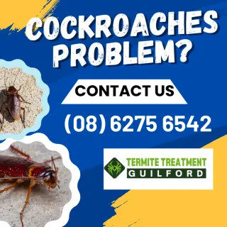 Guilford’s Cockroach Diversity
