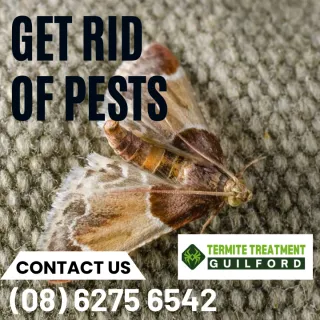 Natural Pest Control
