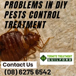 What Are The Dangers Of DIY Pest Control Treatments