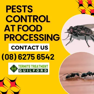Food Processing Pest Control Services