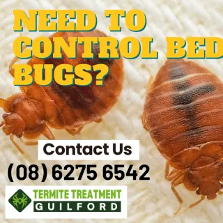 Bed Bug Response Plan
