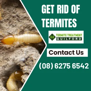 Do You Think You Have Termites?