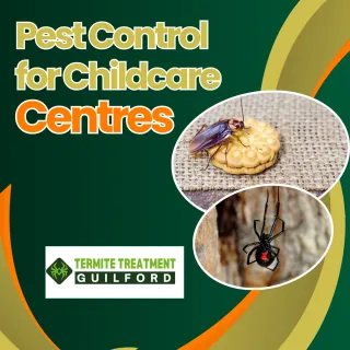 Pest Control for Childcare Centres: Professional Solutions for a Safe Environment