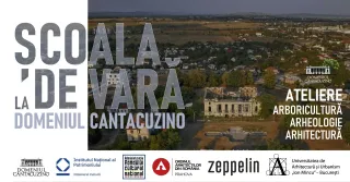 Școala de Vară 2024