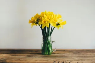 Spring Into Action