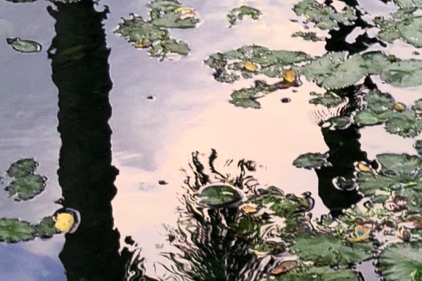 Learn about Insect Deterrents: Synthetic vs Natural