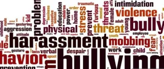Bullying and Abuse: Precursors to Domestic Violence