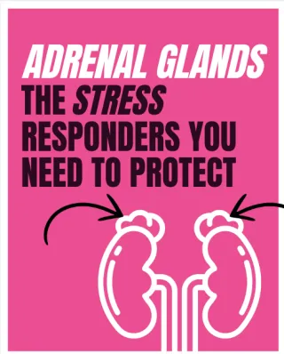 Adrenal Health 101: How to Restore Energy and Beat Burnout