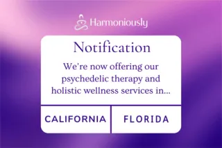 Wellness & Ketamine-Assisted Psychedelic Therapy in California & Florida