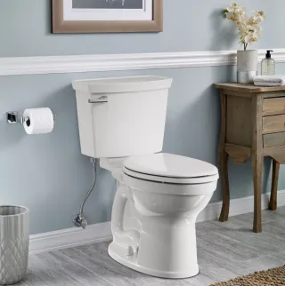 When Should You Replace Your Toilet?