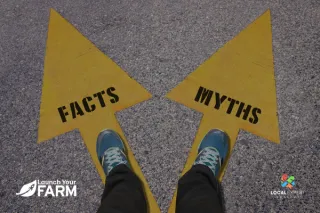 Busting the 3 Most Common Farming Myths (That Might Be Holding You Back)