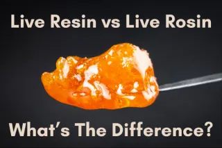  Live Resin vs Live Rosin