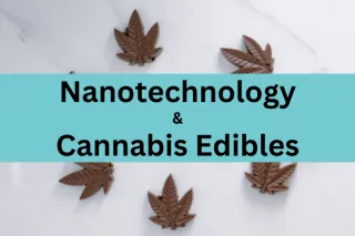 Nanotechnology & Cannabis Edibles