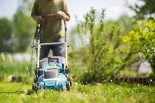 How to Choose an Affordable Lawn Service