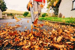9 Ways to Find Best Leaf Removal Services in Tulsa, Oklahoma
