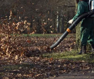 7 Essential Tips for Finding the Best Leaf Removal Service in Tulsa, Oklahoma