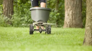 Weed Treatment and Fertilizer Timing