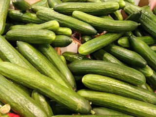 The Cucumber Crisis: Why Enhanced Produce Cleaning Matters More Than Ever