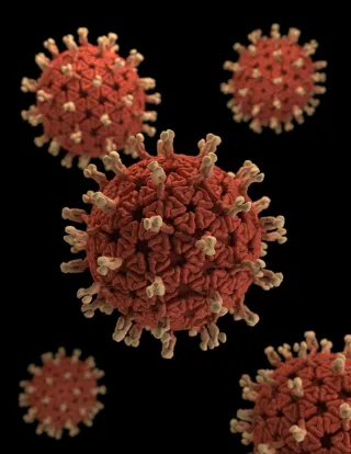 What disinfectant kills norovirus?