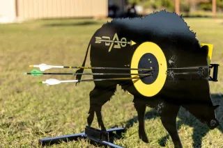 5 Tips to Perfect Your Shot Placement for Ethical Bowhunting