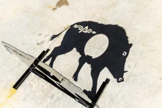 The Ultimate Bowhunter’s Checklist: Gear, Preparation, and Training