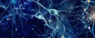 From Burning to Balanced: The Science Behind Nerve Regeneration