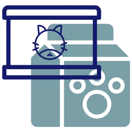FAQ image