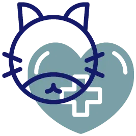 FAQ image