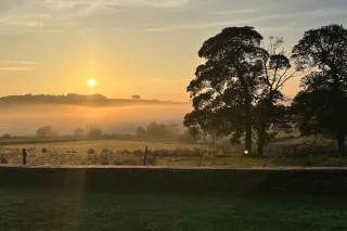 Beyond Pink Ribbons; "I just wanted to fucking live!!"
