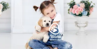 How to Sell Puppies or Kittens Online Using Social Media Q&A