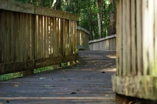 Unplug, Unwind, and Explore: Your Guide to the Tibet-Butler Nature Preserve in Orlando, FL
