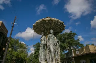 Discover the Charm of Thornton Park District: Orlando’s Best Kept Secret