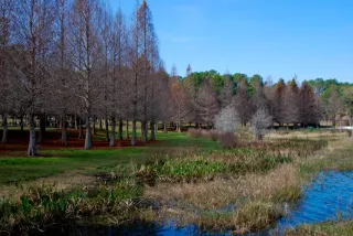 Bill Frederick Park: Your Ultimate Outdoor Escape in Orlando
