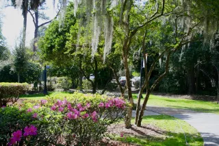 Escape to Nature at Mead Botanical Garden in Winter Park, Florida