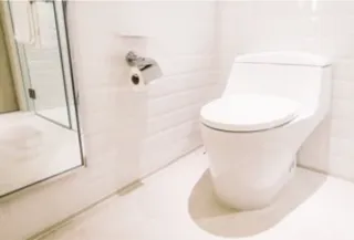 Recipe: Grapefruit DIY Cleaning Toilet Frizzles