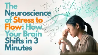 The Neuroscience of Stress to Flow: How Your Brain Shifts in 3 Minutes