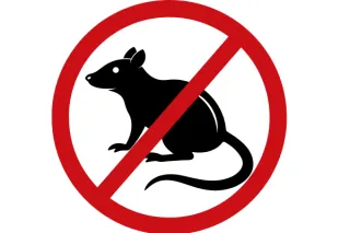 Best Pest Control Company in Anne Arundel County MD | Rogers Pest Control LLC
