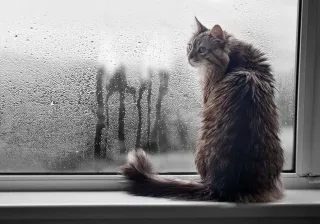 How to beat condensation

