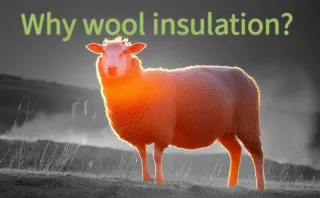 Why wool insulation?

