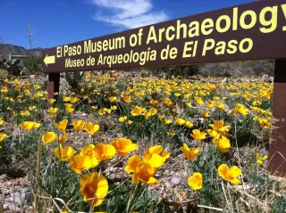 🏺 Explore the Past at El Paso Museum of Archaeology