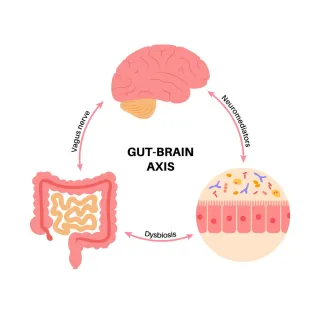 The Gut Brain Axis: Part 1